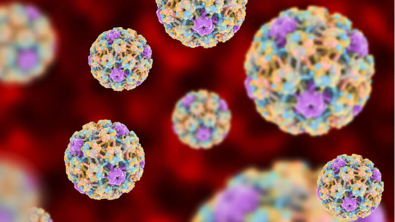 HPV چیست ؟