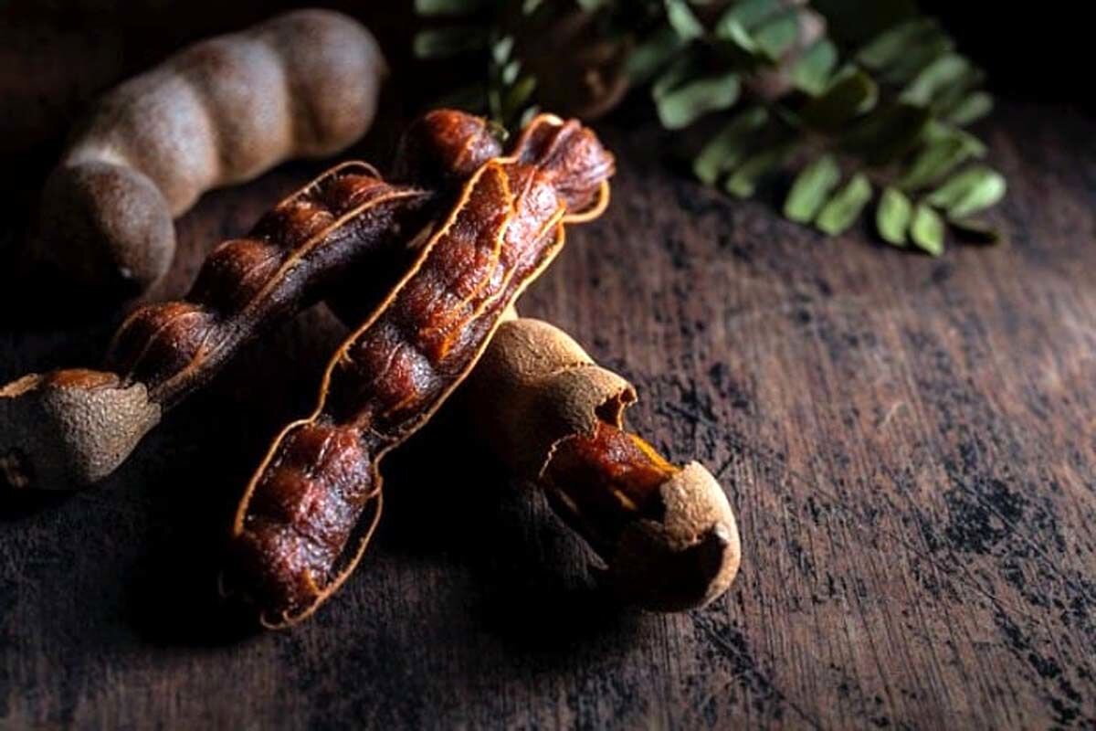 تمر هندی؛ میوهای ترش با فواید شگفتانگیز برای سلامت بدن