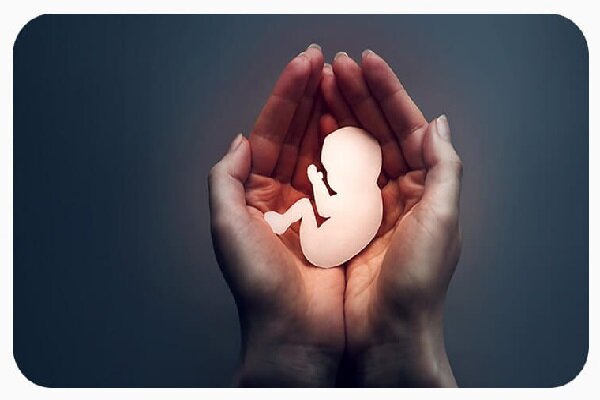 مرز باریک قتل و زندگی؛ مادری که ناجی مادران دیگر است