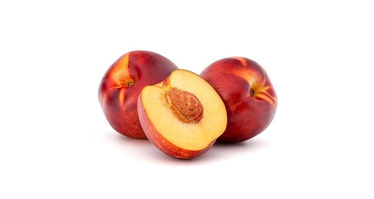 خواص و طبع شلیل در طب سنتی - طبایع مرجع طب سنتی